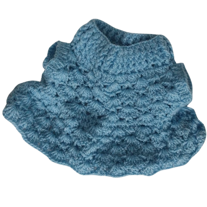 Blue colored sweater dog