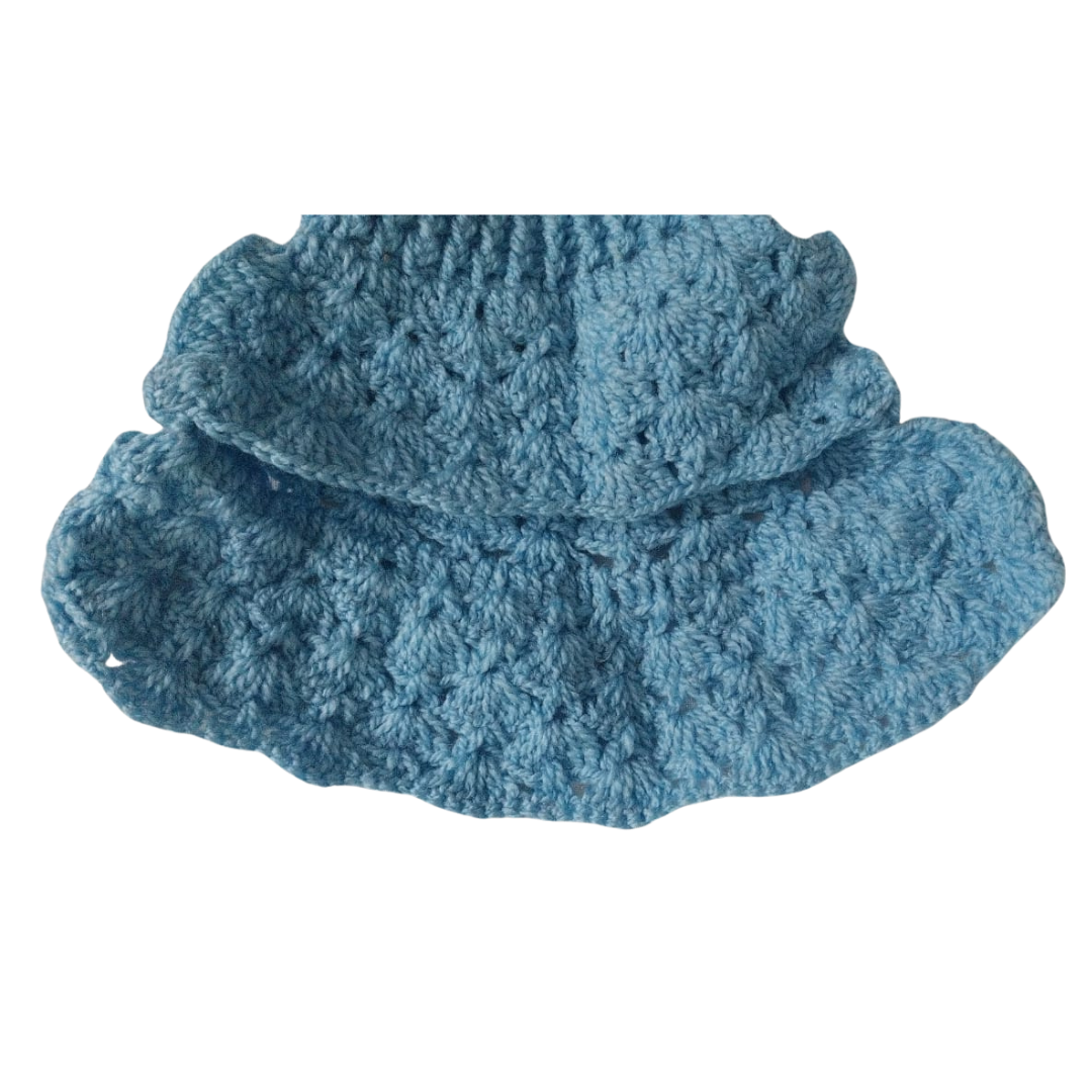 Blue colored sweater dog