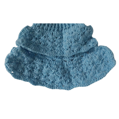 Blue colored sweater dog