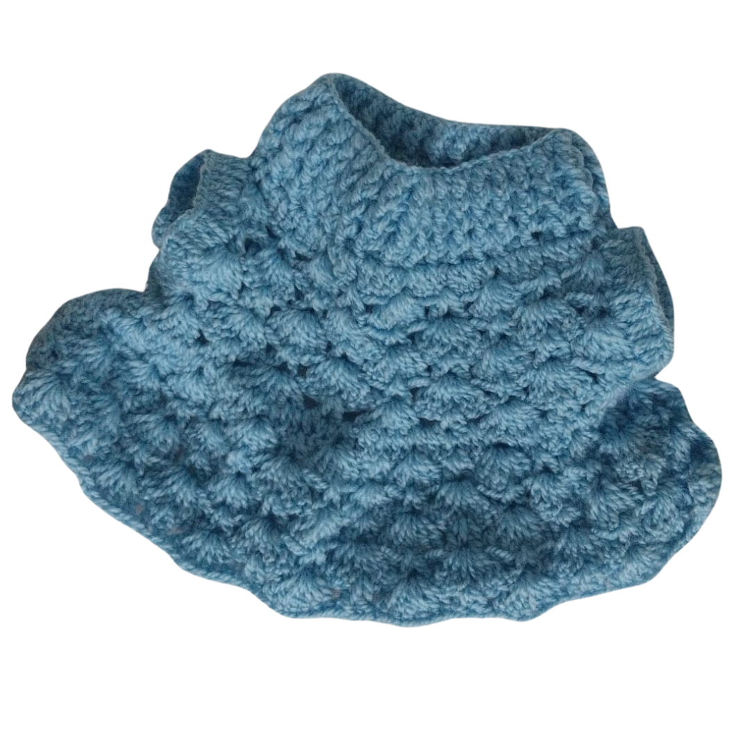 Blue colored sweater dog