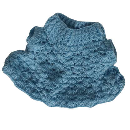 Blue colored sweater dog